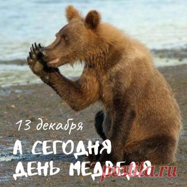 С Днём медведя! Пусть твоя жизнь будет такой же мощной и величественной, как этот символ нашей страны. Желаю тебе находить уют и тепло в любой ситуации, как медведь в берлоге. Открытки на День медведя!