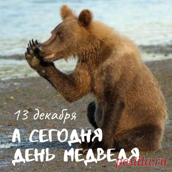 С Днём медведя! Пусть твоя жизнь будет такой же мощной и величественной, как этот символ нашей страны. Желаю тебе находить уют и тепло в любой ситуации, как медведь в берлоге. Открытки на День медведя!