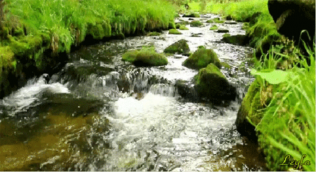 Мой Мир@Mail.Ru