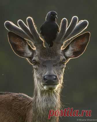 (9) INature - Фото