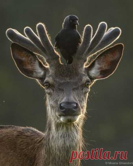 (9) INature - Фото