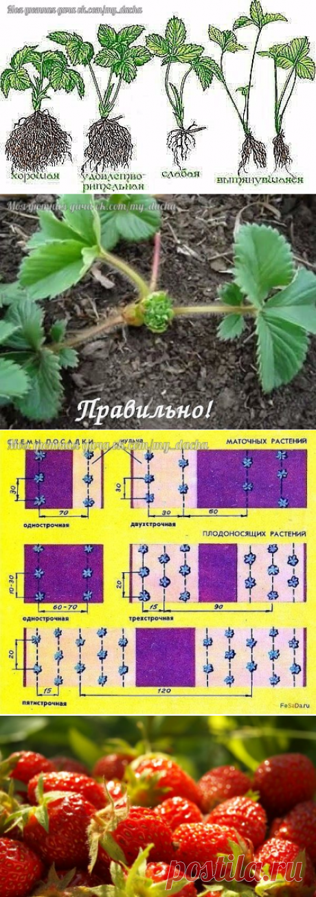 Не стоит забывать..