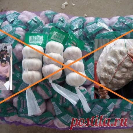 Внимание, китайский чеснок!