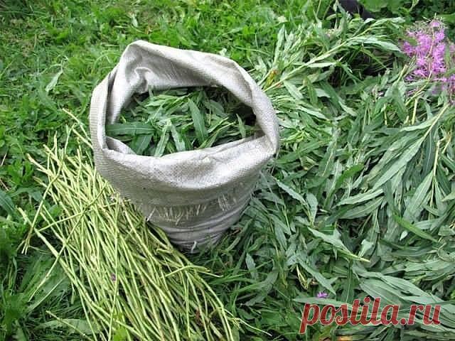 3 непрочитанных чата