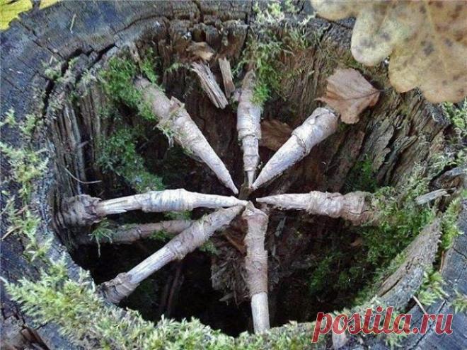 Подборка самых интересных снимков