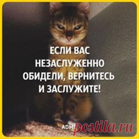 Викторина Гречко