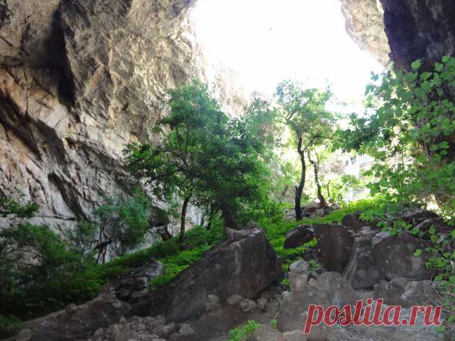 Внутри растут высокие тутовые деревья,цветы,кружат птицы...