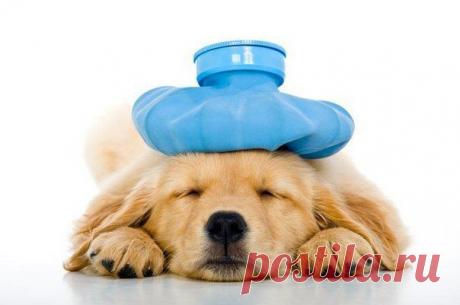 Как описать самочувствие на английском языке / Неформальный Английский