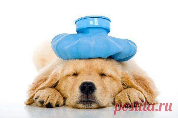 Как описать самочувствие на английском языке / Неформальный Английский