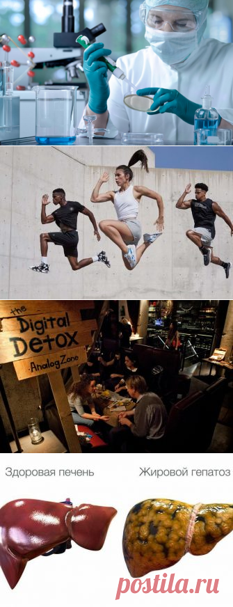 Онкобольные смогут получить инновационное лечение в новом Институте клеточной терапии
Международный Медицинский многопрофильный центр (г. Хайфа, Израиль) После нескольких лет строительства, в медцентре наконец открыл свои двери ультрасовременный Институт клеточной терапии. Теперь у врачей есть все инструменты, чтобы воплотить свою давнишнюю цель – предоставить как можно большему количеству...
Читай дальше на сайте. Жми подробнее ➡