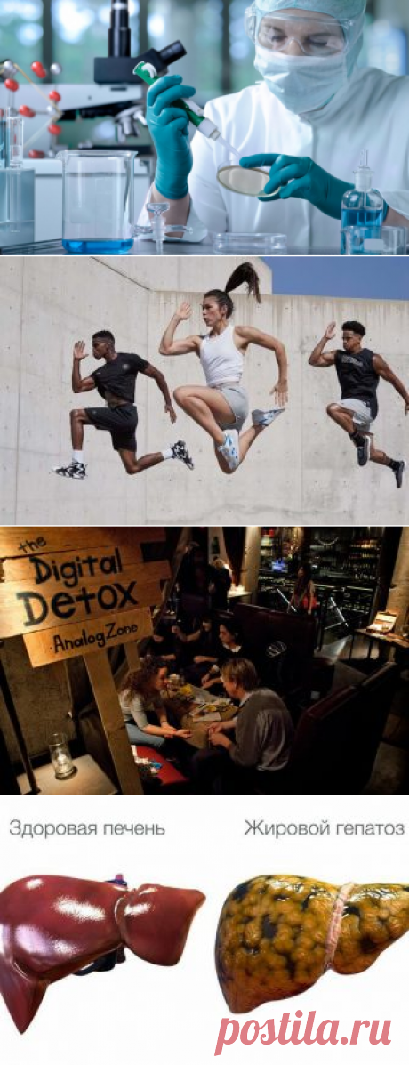 Онкобольные смогут получить инновационное лечение в новом Институте клеточной терапии
Международный Медицинский многопрофильный центр (г. Хайфа, Израиль) После нескольких лет строительства, в медцентре наконец открыл свои двери ультрасовременный Институт клеточной терапии. Теперь у врачей есть все инструменты, чтобы воплотить свою давнишнюю цель – предоставить как можно большему количеству...
Читай дальше на сайте. Жми подробнее ➡