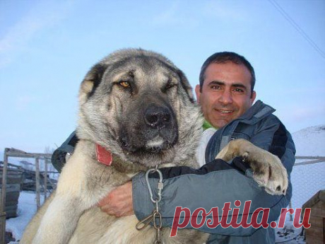 (57) Одноклассники