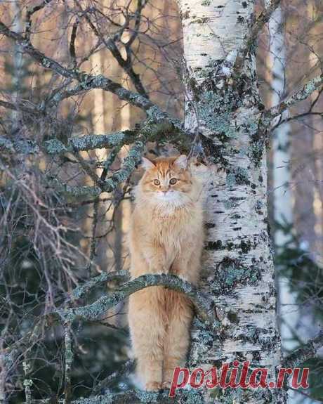Удивительный мир планеты