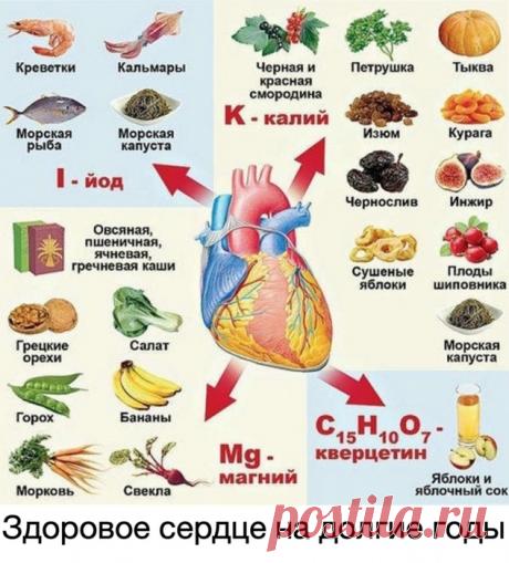 Здоровье>Здоровое сердце