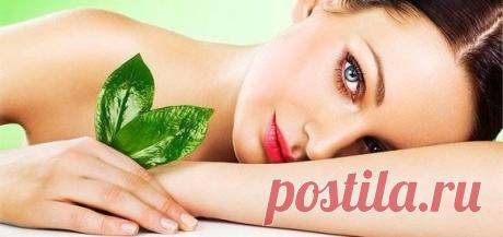 10 средств эффективной дешевой экокосметики