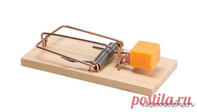 Мышеловка из бросового материала своими руками