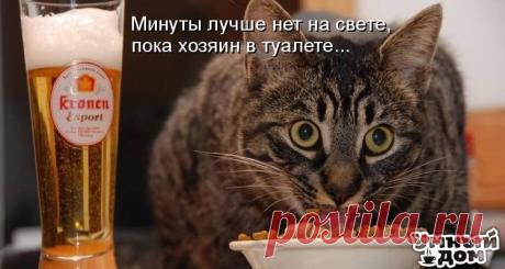 Фотографии на стене сообщества – 45 074 фотографии | ВКонтакте