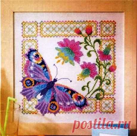 Вышивка Butterfly Peacock