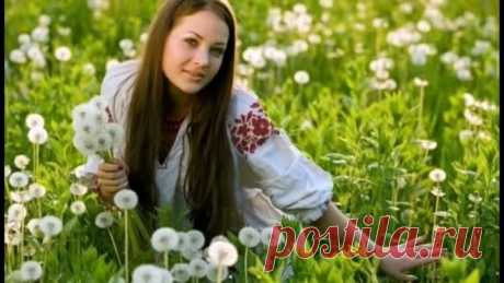 (46) Одноклассники