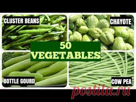 50 Vegetable Names in English