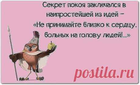 Новости