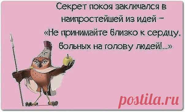Новости