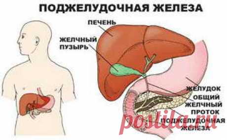 Очищаем поджелудочную железу