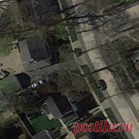 Habitat Network is a new Citizen Science Project at the Cornell Lab of Ornithology designed to let you make landscape maps of your yard and other green spaces like parks and nature reserves. — карточка от пользователя Elrey Delmundo в Яндекс.Коллекциях