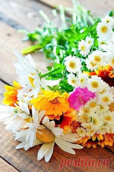 Мой Мир@Mail.Ru