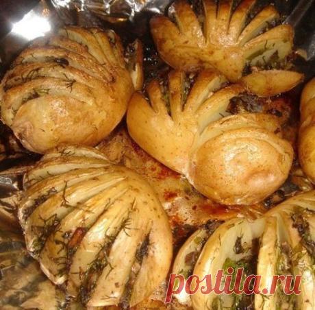 Картошка-гармошка / Свежие рецепты