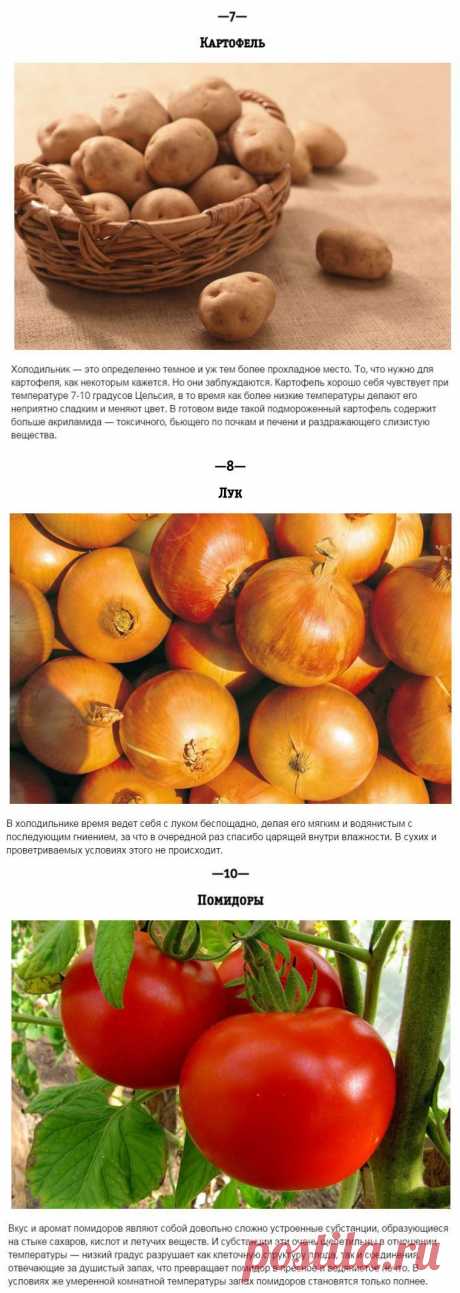 Чего не стоит класть в холодильник — Делимся советами