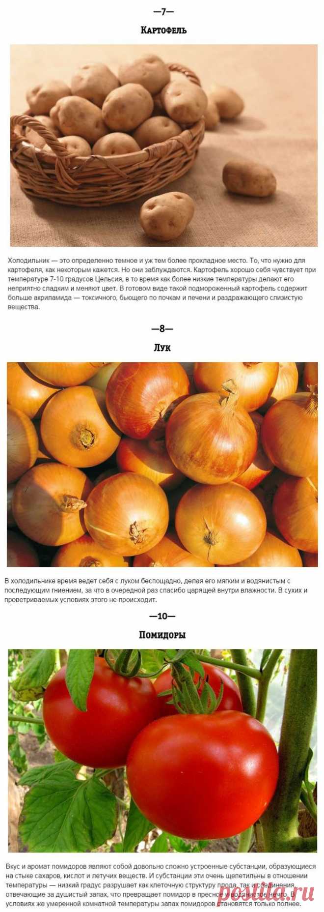 Чего не стоит класть в холодильник — Делимся советами