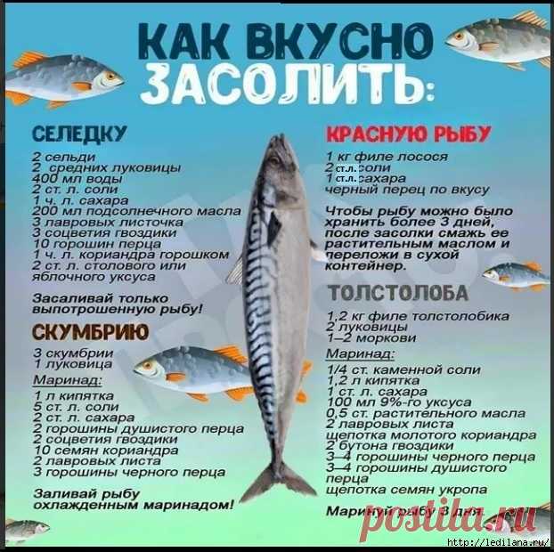 Рыбные советы от профи и Как вкусно засолить рыбу