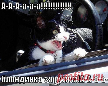 Мой Мир@Mail.Ru