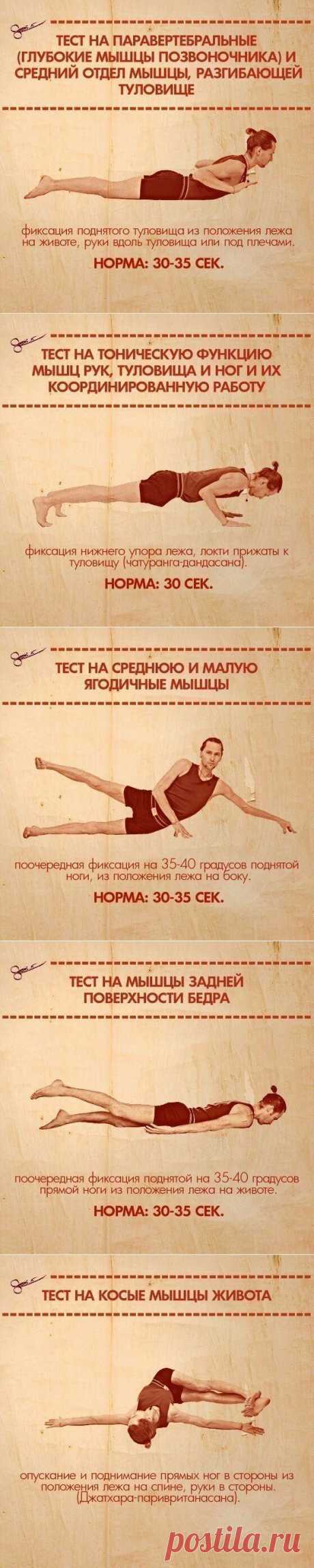 Находим слабые места своего тела - 1 часть