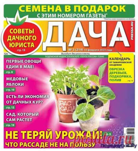 Дача 3 2023 Читать журнал ОНЛАЙН