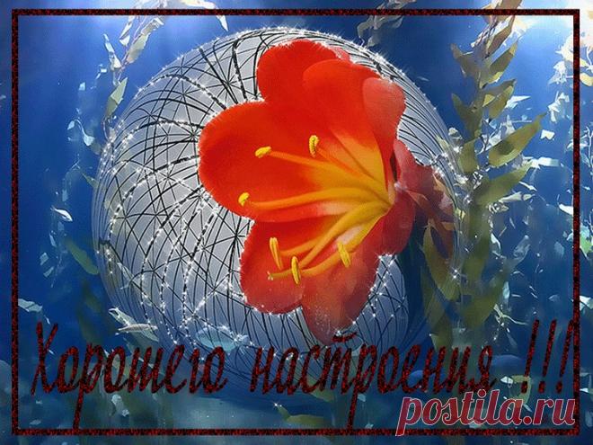 (52) Красивые Картинки, Стихи и Видео