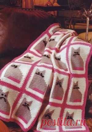 Ополченцы ЛНР организовали для силовиков «дорогу смерти» | Ваше мнение