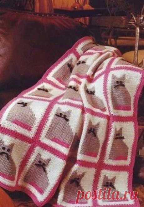 Ополченцы ЛНР организовали для силовиков «дорогу смерти» | Ваше мнение