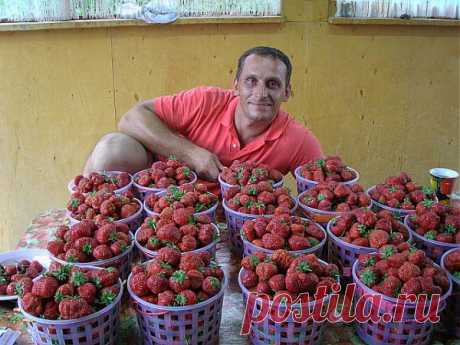 УРОЖАЙ
