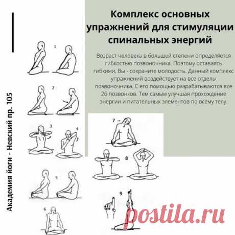 Возраст человека в большей степени определяется гибкостью позвоночника. Поэтому оставаясь гибкими, Вы - сохраните молодость. Данный комплекс упражнений воздействует на все отделы позвоночника. С его помощью разрабатываются все 26 позвонков. Тем самым улучшая прохождение энергии и питательных элементов по всему телу.
Показать полностью…