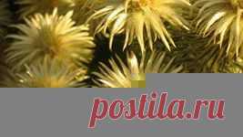 мозаика обои: 7 тыс изображений найдено в Яндекс.Картинках