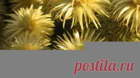 мозаика обои: 7 тыс изображений найдено в Яндекс.Картинках