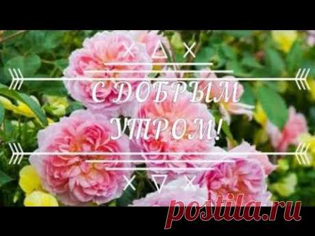 Доброе Утро ! Шикарная Песня с Добрым Утром ! - YouTube