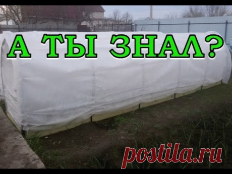 ПАРНИК 2017 пошагово