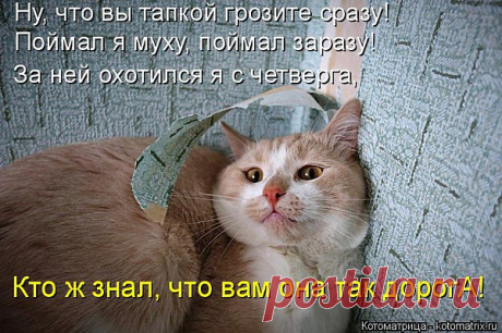 Интересные новости
