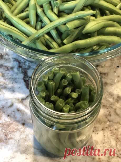Ферментированная зеленая фасоль Dilly - The Health Nut Mama