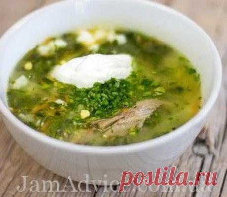 Как приготовить зеленый борщ?