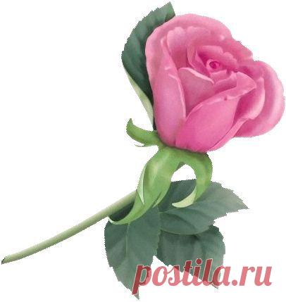 ЗАГОВОРЫ НАРОДНЫЕ ПРИМЕТЫ: ОБЕРЕГИ