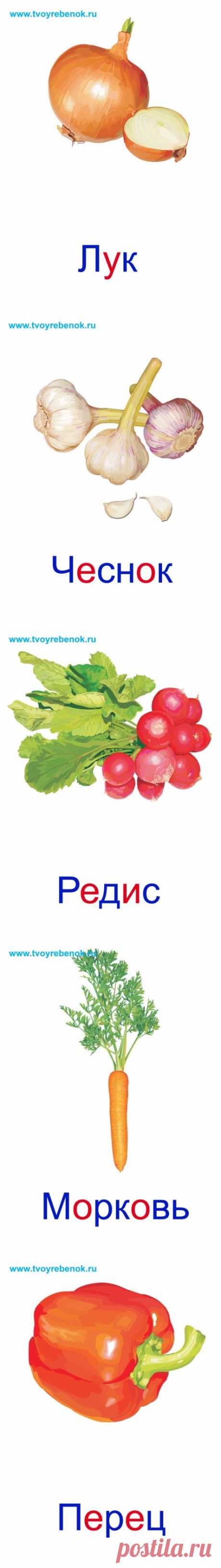 ОВОЩИ.КАРТОЧКИ ДОМАНА